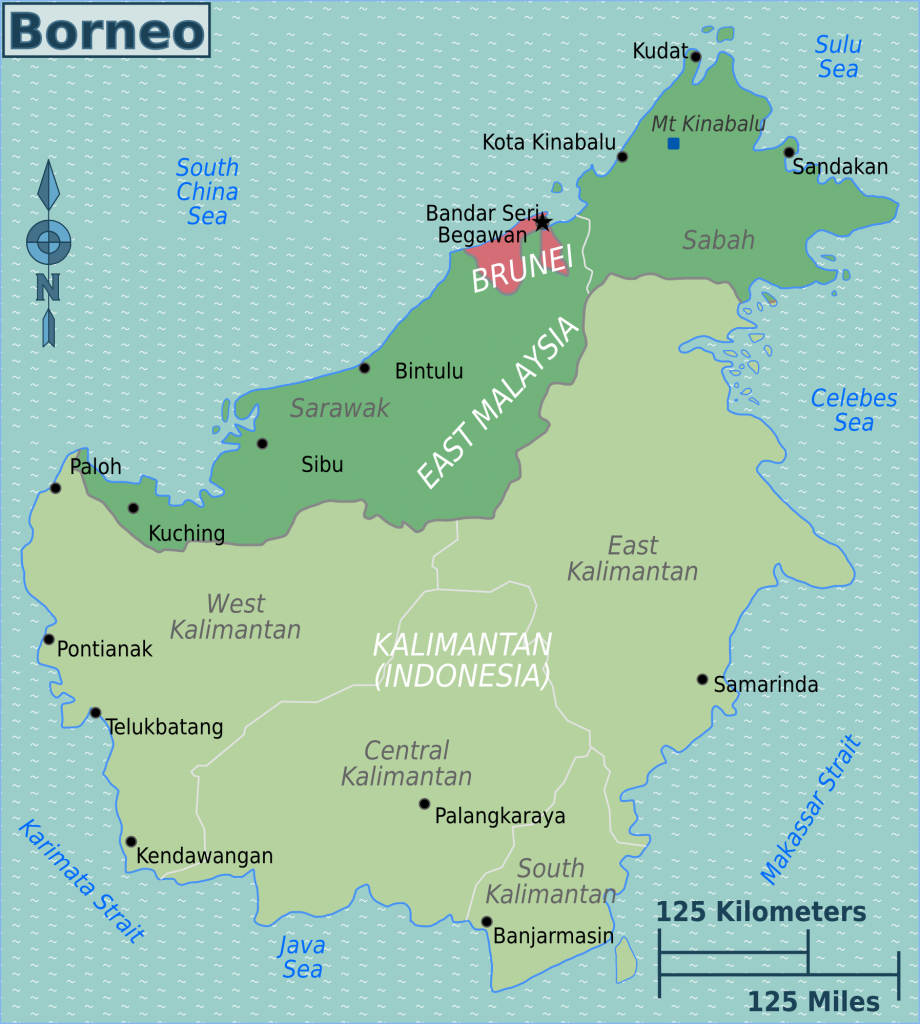 "Borneo map" di Peter Fitzgerald, minor amendments by Joelf - Opera propria based on the map of Borneo by Mortadelo2005 and Exagren. Con licenza GFDL tramite Wikimedia Commons - https://commons.wikimedia.org/wiki/File:Borneo_map.png#/media/File:Borneo_map.png